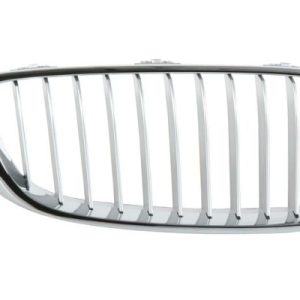 Grila radiator BLIC 6502-07-0070994P
