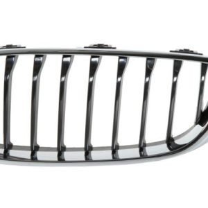 Grila radiator BLIC 6502-07-0070995P