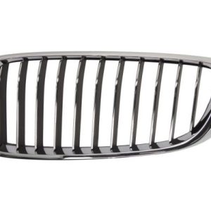 Grila radiator BLIC 6502-07-0070997P