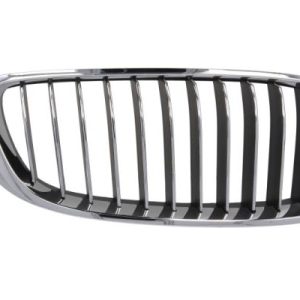 Grila radiator BLIC 6502-07-0070998P