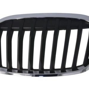 Grila radiator BLIC 6502-07-0071993P