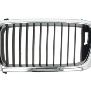 Grila radiator BLIC 6502-07-0075991P