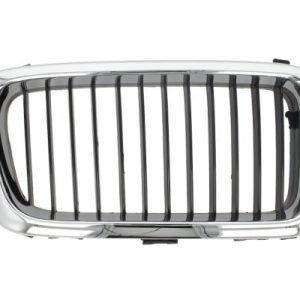 Grila radiator BLIC 6502-07-0075992P