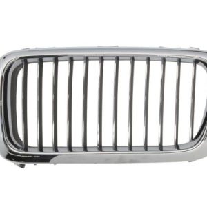 Grila radiator BLIC 6502-07-0075993P