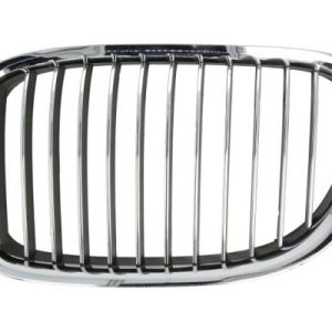 Grila radiator BLIC 6502-07-0077991P