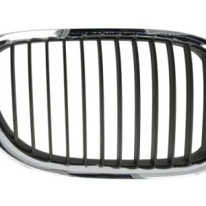 Grila radiator BLIC 6502-07-0077992P