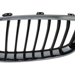 Grila radiator BLIC 6502-07-0081991GP