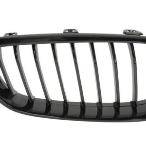 Grila radiator BLIC 6502-07-0081996P