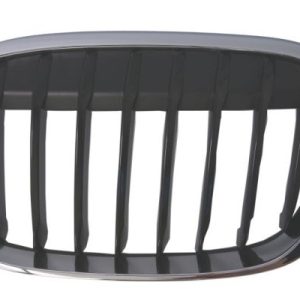 Grila radiator BLIC 6502-07-0082993MP