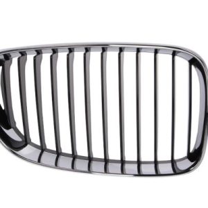 Grila radiator BLIC 6502-07-0085992PP