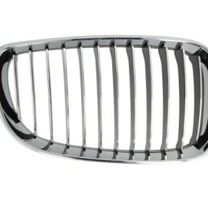Grila radiator BLIC 6502-07-0085996P