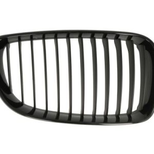 Grila radiator BLIC 6502-07-0085998P