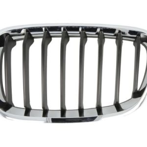 Grila radiator BLIC 6502-07-0086995P