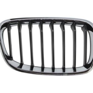 Grila radiator BLIC 6502-07-0086996P