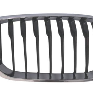 Grila radiator BLIC 6502-07-0086998CP
