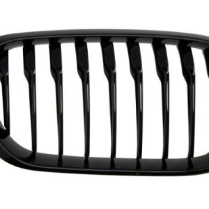 Grila radiator BLIC 6502-07-0086998P