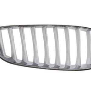 Grila radiator BLIC 6502-07-0089998P