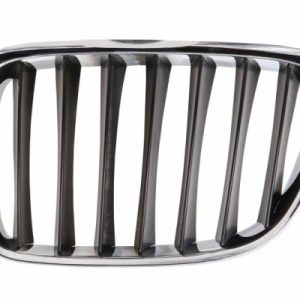 Grila radiator BLIC 6502-07-0092991P