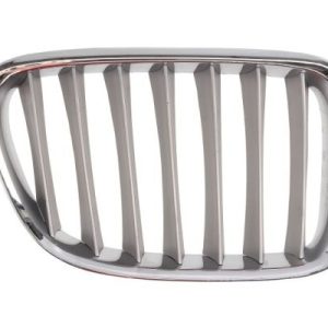 Grila radiator BLIC 6502-07-0092994P