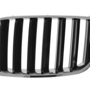 Grila radiator BLIC 6502-07-00939910P