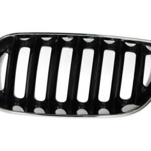 Grila radiator BLIC 6502-07-0093991P