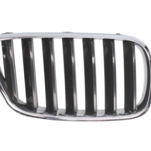 Grila radiator BLIC 6502-07-00939920P