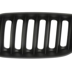 Grila radiator BLIC 6502-07-0093995P