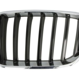Grila radiator BLIC 6502-07-00939970P