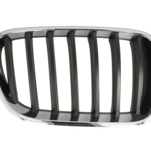 Grila radiator BLIC 6502-07-00939980P