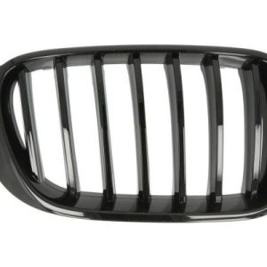 Grila radiator BLIC 6502-07-00939988P