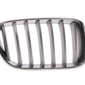 Grila radiator BLIC 6502-07-0093998P