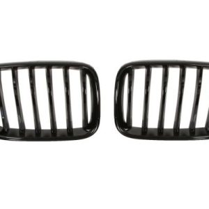 Grila radiator BLIC 6502-07-0093999P
