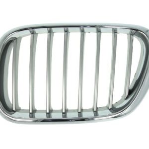 Grila radiator BLIC 6502-07-0095991P