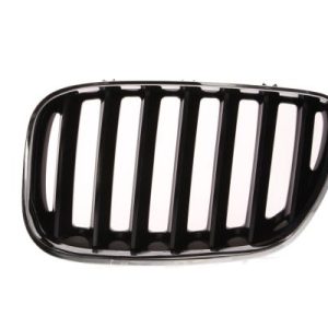 Grila radiator BLIC 6502-07-0095995P