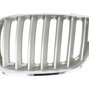 Grila radiator BLIC 6502-07-0095997P