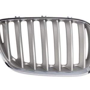 Grila radiator BLIC 6502-07-0095998P