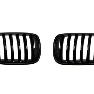 Grila radiator BLIC 6502-07-0096990P