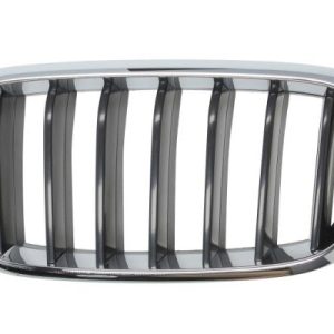 Grila radiator BLIC 6502-07-00969911P