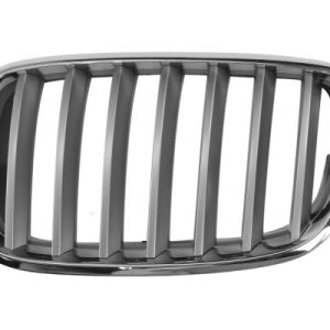 Grila radiator BLIC 6502-07-0096991PP