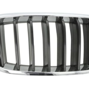 Grila radiator BLIC 6502-07-00969922P