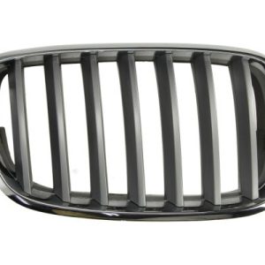 Grila radiator BLIC 6502-07-0096992PP