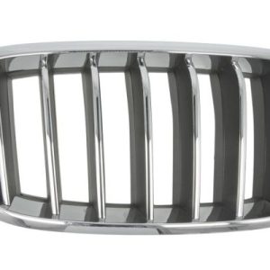 Grila radiator BLIC 6502-07-00969944P