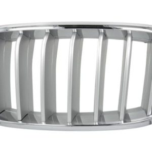 Grila radiator BLIC 6502-07-00969955P