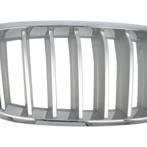 Grila radiator BLIC 6502-07-00969966P
