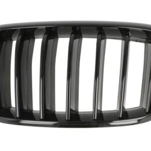 Grila radiator BLIC 6502-07-00969977P