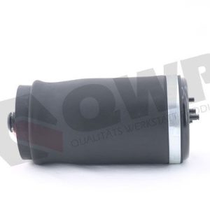 Arc pneumatic directie QWP WAS039 – BMW | AutoRival