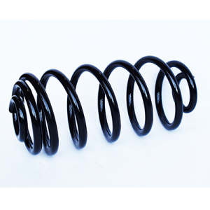 Arc spiral -> CHEVROLET CRUZE hatchback (J305) 1.6 benzina 124 cai -> ASAM AUTOMOTIVE 73730