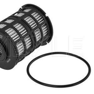 Filtru combustibil -> CHEVROLET AVEO limuzina (T300) 1.3 D diesel 75 cai -> MEYLE 614 323 0008