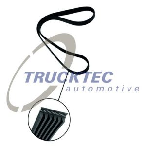 Curea transmisie cu caneluri CHEVROLET MATIZ (M200, M250) 0.8 LPG Benzina/Autogaz (GPL) 52 cai TRUCKTEC AUTOMOTIVE 02.19.342