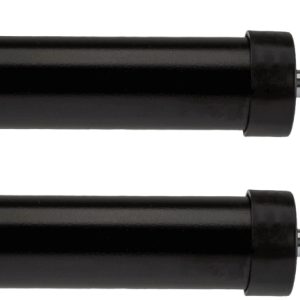 Amortizor CITROEN C4 cupe (LA_) 2.0 16V benzina 177 cai TRW JGT442T